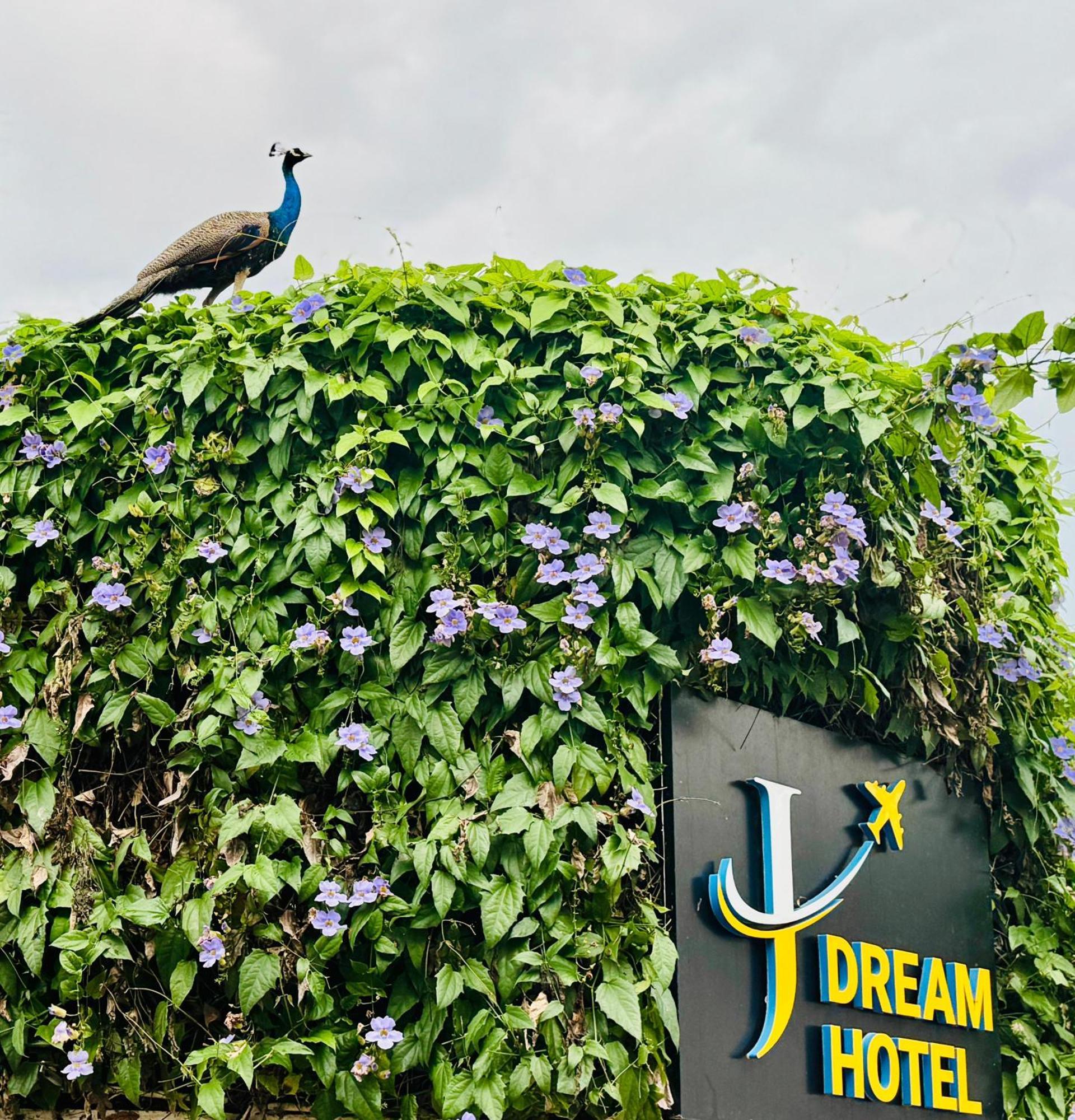 Airport J Dream Resort Dewamottawa エクステリア 写真